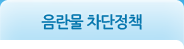 음란물 차단정책