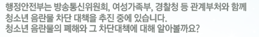 행정안전부는 방송통신위원회, 여성가족부, 경찰청 등 관계부처와 함께 청소년 음란물 차단 대책을 추진 중에 있습니다. 청소년 음란물의 폐해와 그 차단대책에 대해 알아볼까요?